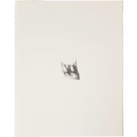 a small and blurry cat (GHY Cheung) item