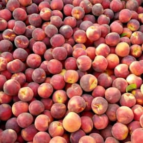 Full Box of Peaches (18 lbs) item