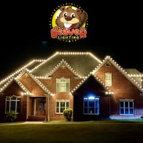 One Basic Christmas Lighting Package item