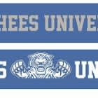 Alumni scarf item