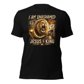 T-SHIRT Unashamed item
