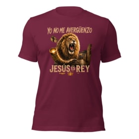 T-SHIRT SPANISH UNASHAMED item