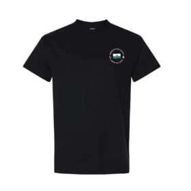 T-shirt item