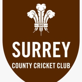 2 Oval day passes for Surrey County games item