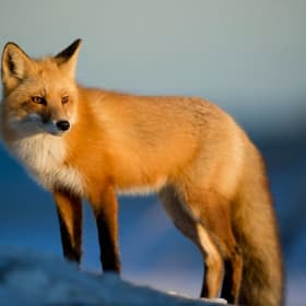 WNC Nature Center Membership for Two item