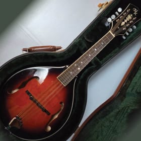 Michael Kelly Mandolin item