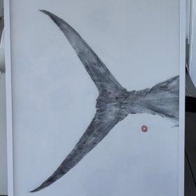 "Pacific Sailfish Tail" by Annie Sessler item