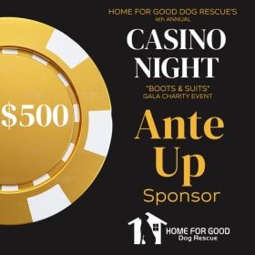 ANTE UP item