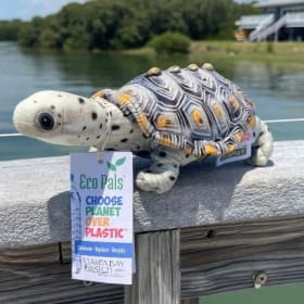 Diamondback Terrapin Plushie item
