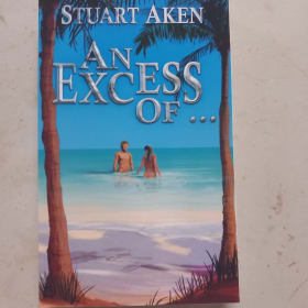 An Excess Of... item