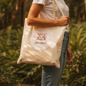 Canvas Tote - Mexican Flag - *Includes Shipping* item