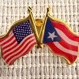 Flag Pin item