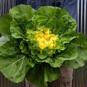 Baker Creek Seeds: Around the World Basket (Value $48) item