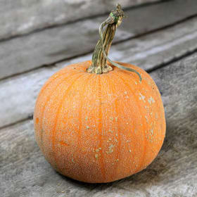 Baker Creek Seeds: Autumn Harvest Basket (Value $48.50) item