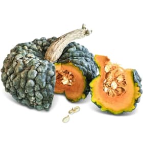 Baker Creek Seeds: Autumn Harvest Basket (Value $48.50) item