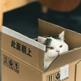 北美运费【必买】 item