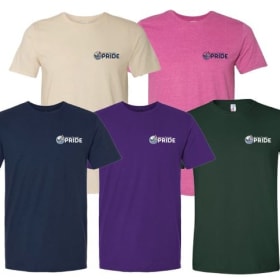 T-shirt item
