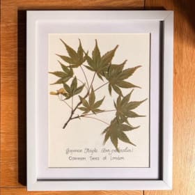 Framed Leaves item