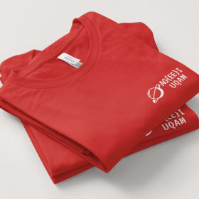T-shirt item