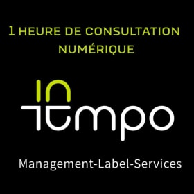 LOT ROCK 10 - 1 heure de consultation avec IN TEMPO ! item