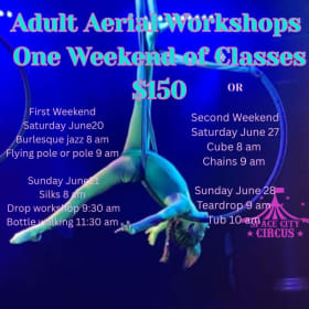 Photo of Adult Aerial Workshops One Weekend