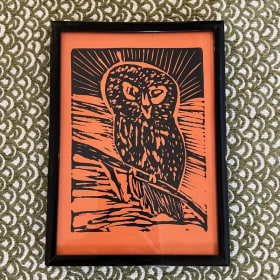 Barred Owl (orange) item