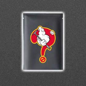 Ghostbusters Day Mystery Medallion item