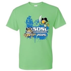 T-shirt item