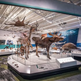 Photo of Cleveland Museum of Natural History: 4 Tickets (Value $98)