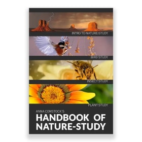 Photo of Living Book Press: Book Bundle (Value $74)