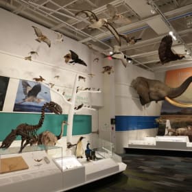 Photo of Cleveland Museum of Natural History: 4 Tickets (Value $98)