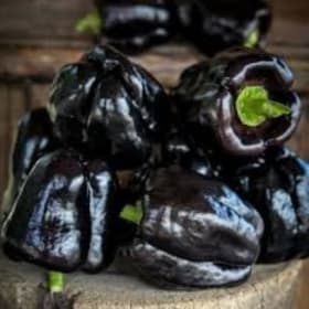 Photo of Baker Creek Seeds: Around the World Basket (Value $48)
