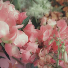 Flower Farm Tour and Bloom Bar for 8 item