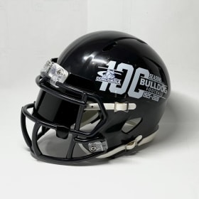 Custom Mini-Helmet Visor item