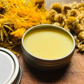 Forest Salve Making Workshop item