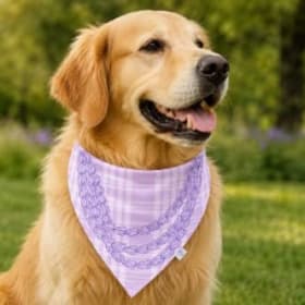 🌺 Crown Flower Companion Bandana ⭐⭐⭐⭐⭐ item