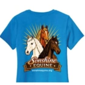 Turquoise Crewneck with Sonshine Logon on Front item
