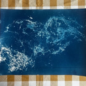 Roots | Original Cyanotype Print item