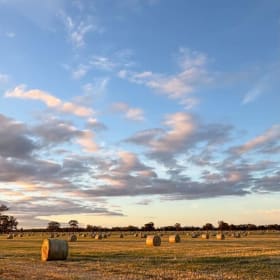 Oaten Hay rolls x2 item