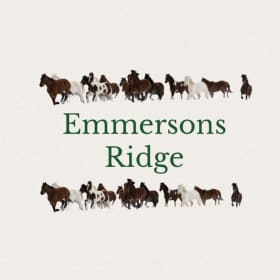 Emmersons Ridge voucher item