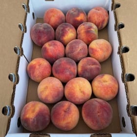 9 pound box peaches item