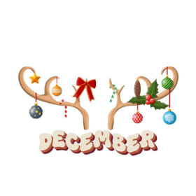 Only 2 Spots - December Sponsor item