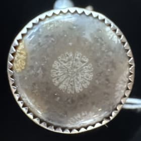 Fossilized Coral Ring Size 8.5 item