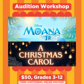 Audition Workshop, 3 Siblings, Fall 2026 Shows item