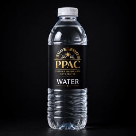 Water item