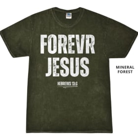 Forevr Jesus Collection item