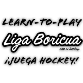 Learn-to-Play Program item