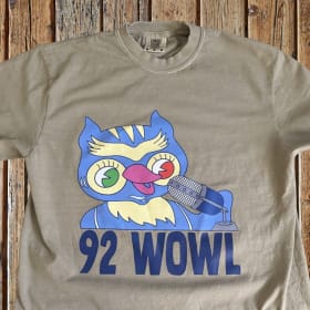 The Blue Owl T-shirt item