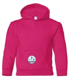 Youth Hoodie Double Logo 5 Color Options item