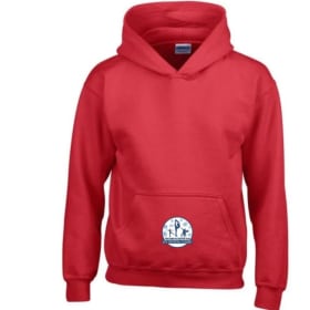 Youth Hoodie Double Logo 5 Color Options item